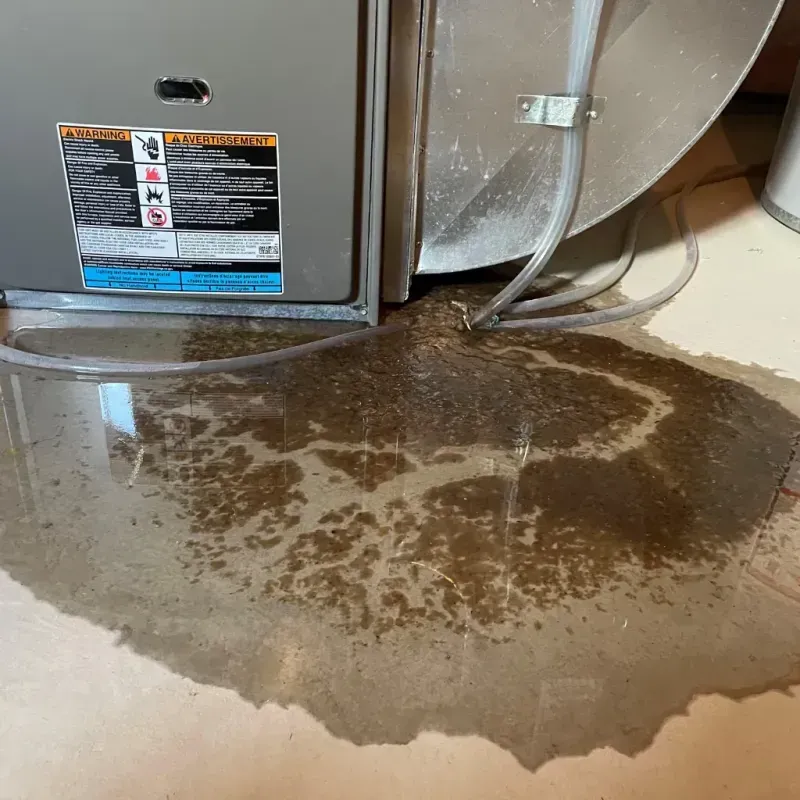 Appliance Leak Cleanup in Leonardtown, MD